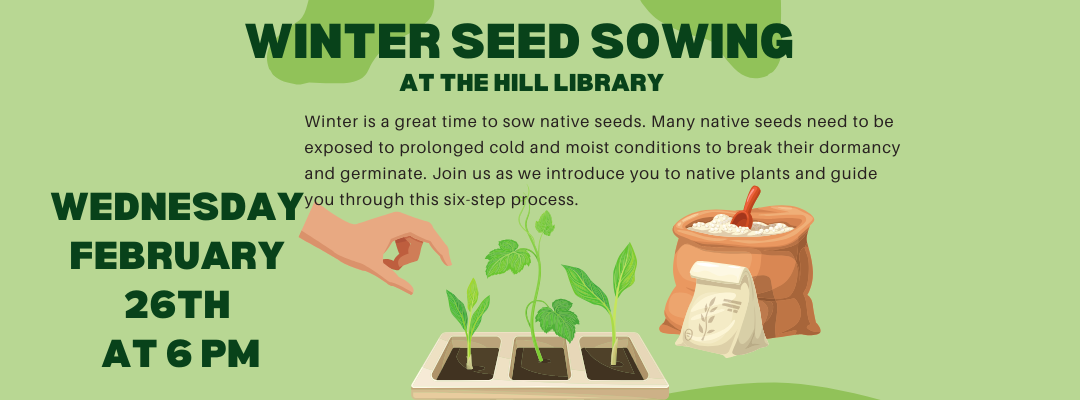 Copy of Copy of Green Orange Illustrated How To Plant Seeds Instagram Post (1080 x 400 px) (1)